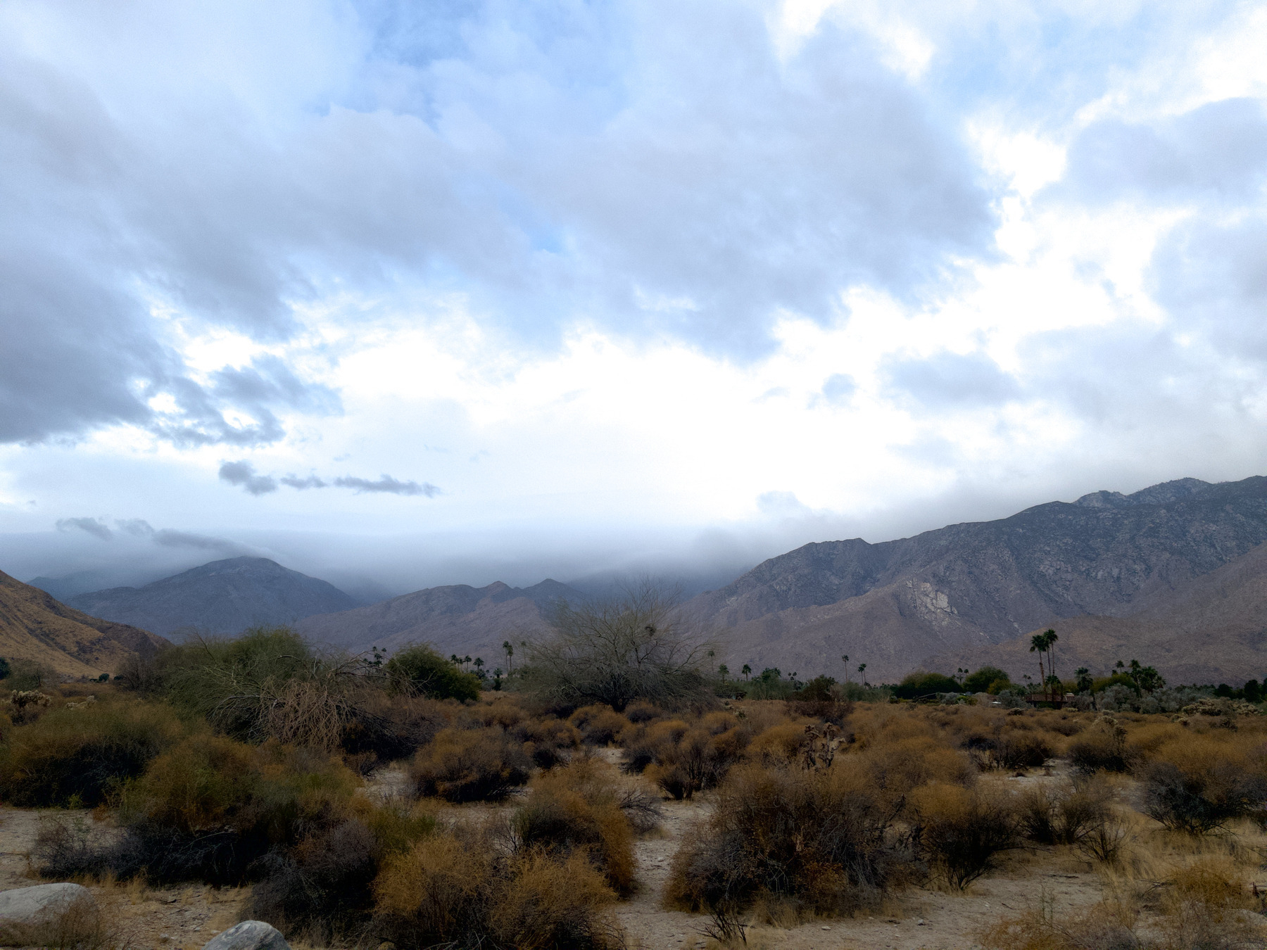 Auto-generated description: A vast desert landscape is shown with scattered bushes and distant mountains under a cloudy sky.